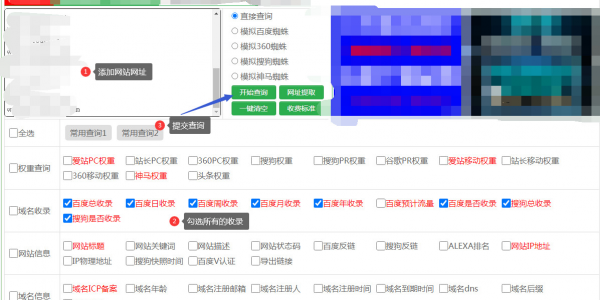 蜘蛛池5000个链接_蜘蛛池收录一般要多久