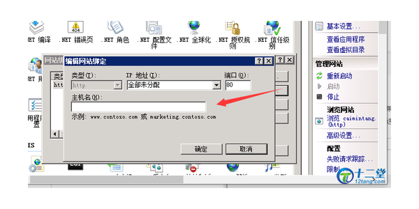 蜘蛛池新手入门_蜘蛛池提高权重