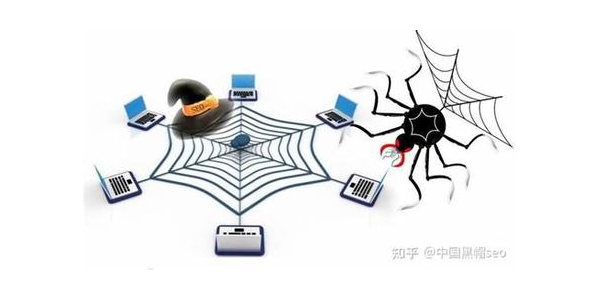 蜘蛛池技术原理是什么_蜘蛛池使用教程