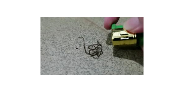 蜘蛛池怎么搭建图解大全_蜘蛛池做法徽ahuaseσ