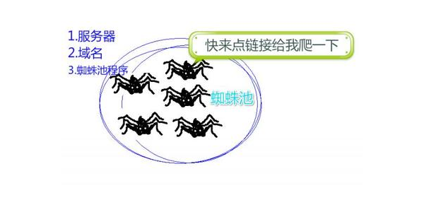 蜘蛛池搭建方法视频_蜘蛛池如何搭建