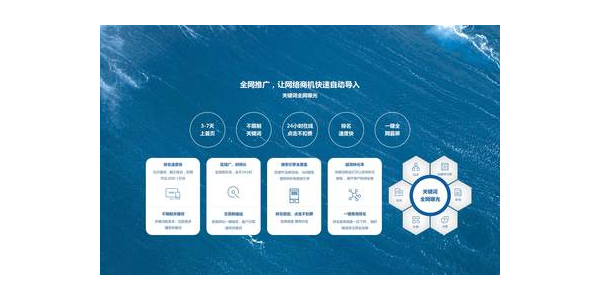 高权重蜘蛛池.秒收录.中国