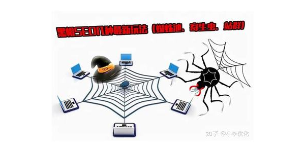 蜘蛛池seo_蜘蛛池收录一般要多久