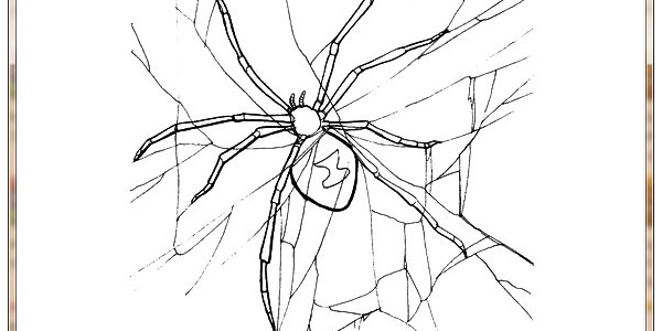 蜘蛛池在的徽ahuaseσ_蜘蛛池徽ahuaseo找人