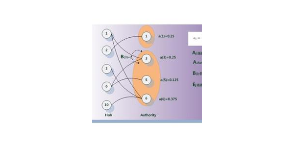 蜘蛛池的原理和作用是什么呢_蜘蛛池怎么使用