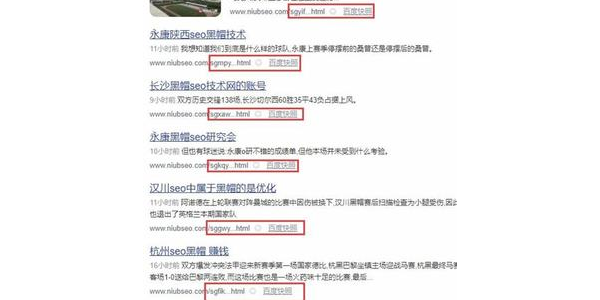 泛目录好用还是蜘蛛池好用_泛目录站群和蜘蛛池区别