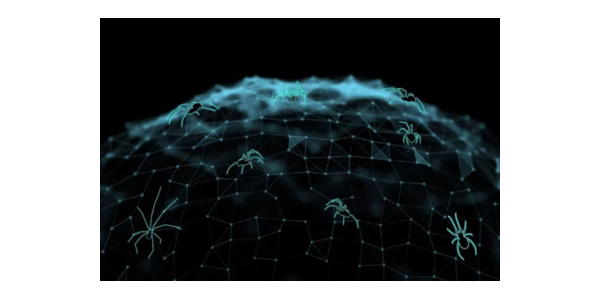 蜘蛛池真的能收录网站吗_蜘蛛池怎么赚钱