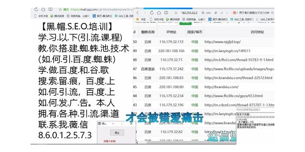 网站蜘蛛池_蜘蛛池对网站有啥影响