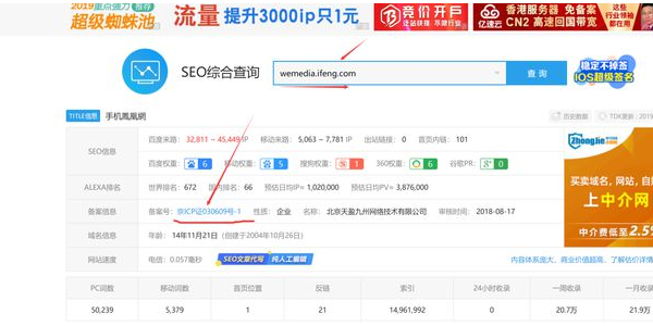 免费蜘蛛池是什么_免费蜘蛛池平台风险