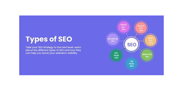 蜘蛛池程序使用注意事项_蜘蛛池的作用