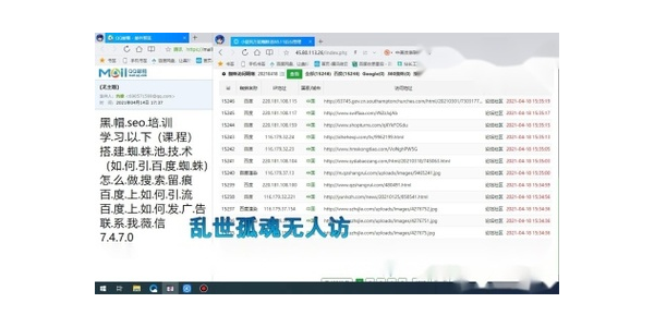 百度蜘蛛池 关键词排名_百度蜘蛛池是什么