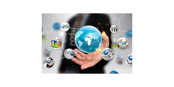 蜘蛛池怎么搭建_如何制作蜘蛛池